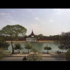 The Golden Duck User Photo