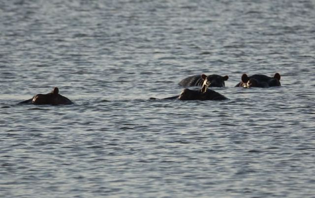 Lake Naivasha