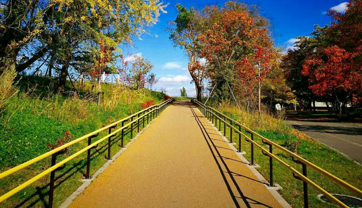 常磐公園旅遊攻略指南 常磐公園評論 常磐公園附近推薦 Trip Com 常磐公園旅遊攻略指南 常磐公園評論 常磐公園附近推薦 Trip Com