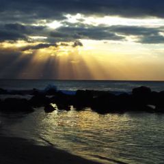 Dao of Life User Photo