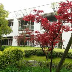 Zhongxintaifuzhujiajiaojinjiangjiudian·pinmingge User Photo