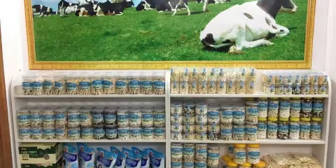 南山舟舟優酪乳吧