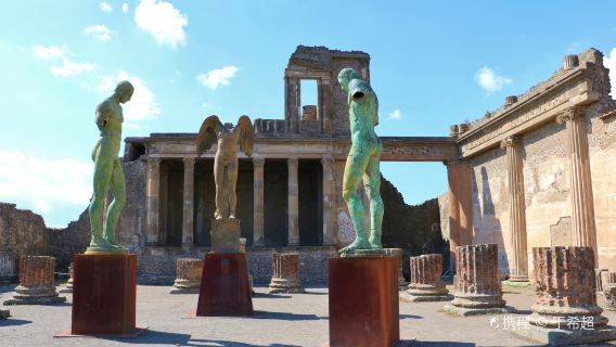 Excursion d'une demi-journée à Pompéi en Italie|Billet d'entrée coupe-file inclus + commentaire par un guide touristique archéologique professionnel