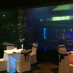 SHARK RESTAURANT User Photo