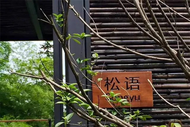 5_天目湖美岕山野溫泉