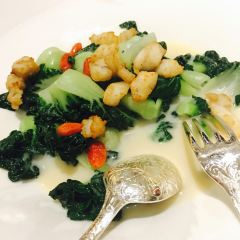 Jade Dragon User Photo