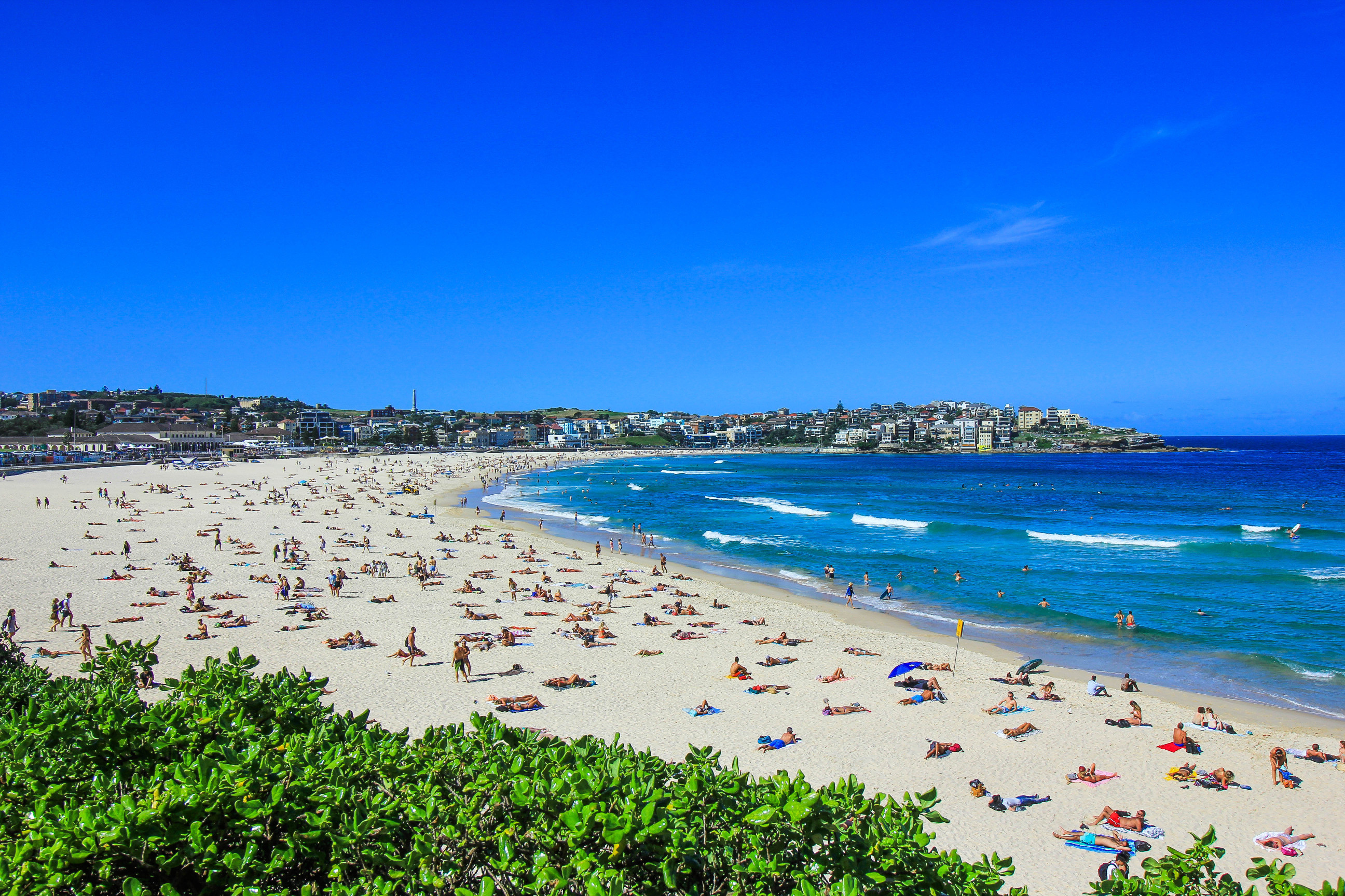 Top 10 Activities in Sydney