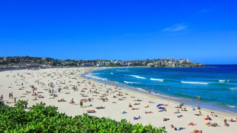 Beach Sunbathing in Sydney attraction in Sydney