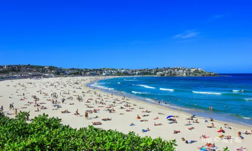 Beach Sunbathing in Sydney