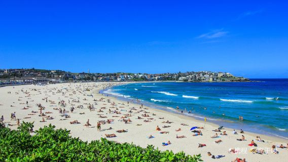 Beach Sunbathing in Sydney