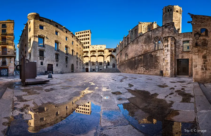 Placa Reial