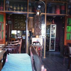 Rainforest User Photo