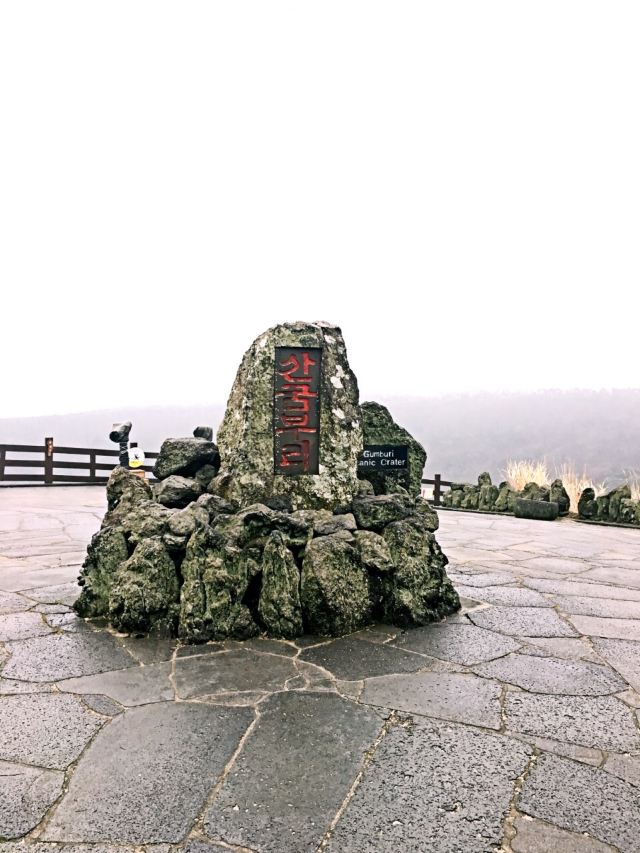 山君不離