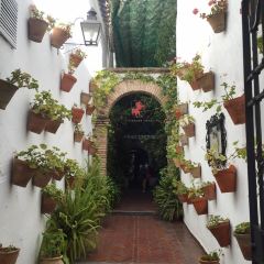 El Caballo Rojo User Photo