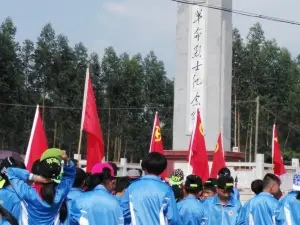 Wuhanjueweijiujiu Duck Neck (suixi)