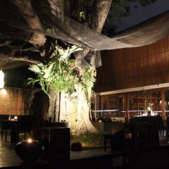 BODHI TERRACE User Photo