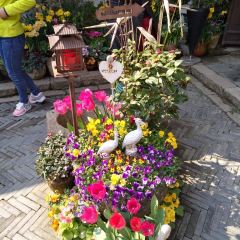知味恋歌 User Photo