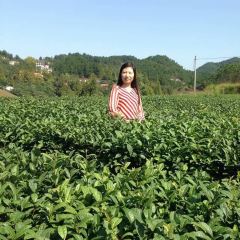 毕升农庄 User Photo