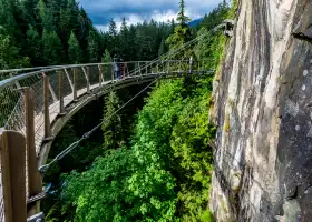 Ponte sospeso di Capilano