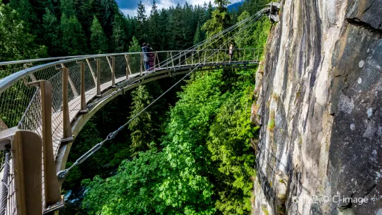 Ponte sospeso di Capilano