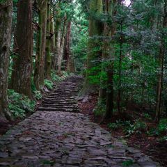 Daimonzaka Travel Guidebook Must Visit Attractions In Nachikatsuura Daimonzaka Nearby Recommendation Trip Com Daimonzaka Travel Guidebook Must Visit Attractions In Nachikatsuura Daimonzaka Nearby Recommendation Trip Com