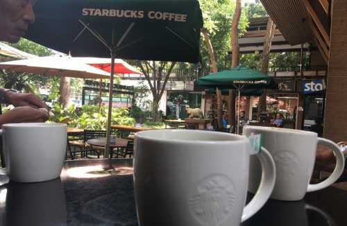 Starbucks - Nimmanhaemin