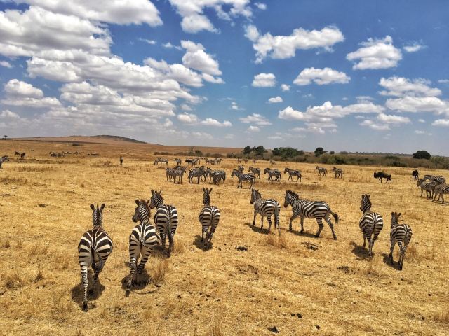 Mara River