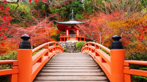 醍醐寺