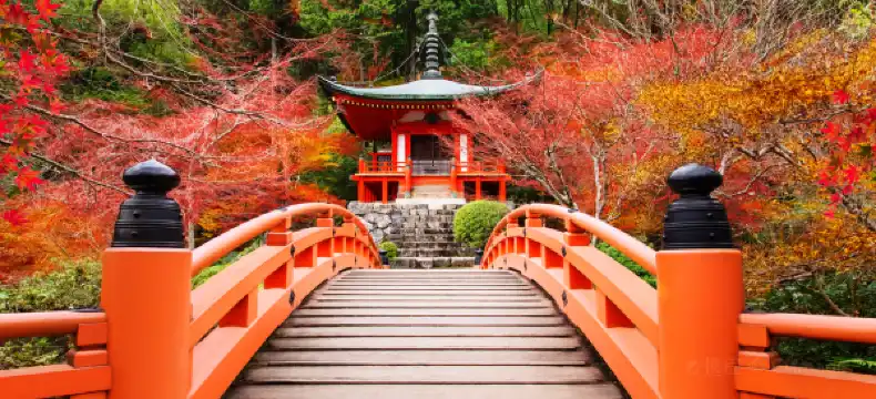 福知山城周辺のホテル