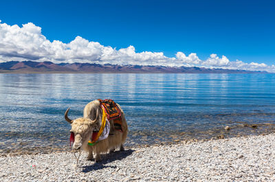 Namtso