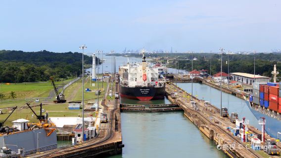 excursión de un día al Canal de Panamá a la Isla de los Monos/Lago Gatún (Mínimo 2 personas)