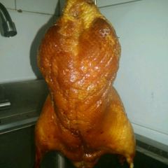 Hippopotamus User Photo