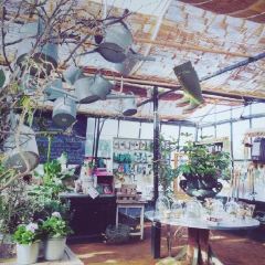 Petersham Nurseries Restaurant User Photo