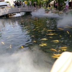 小市一庄民宿(本溪县园内店)·餐厅 User Photo