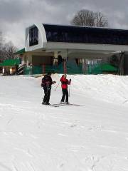 旋轉木馬滑雪場