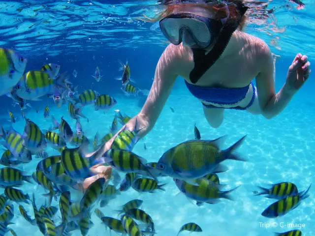 Scuba Diving in Krabi