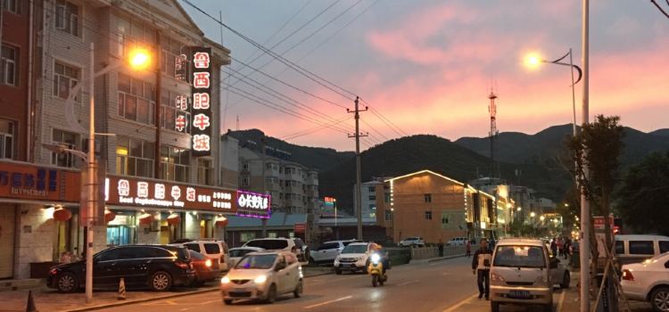 LAO TANG YANG XIE ZI HUO GUO