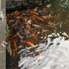 Yuquanyuan User Photo