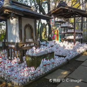 豪德寺
