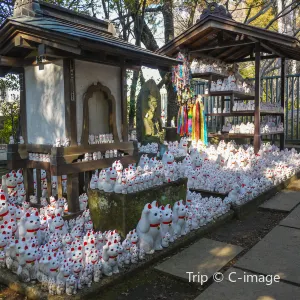 豪德寺