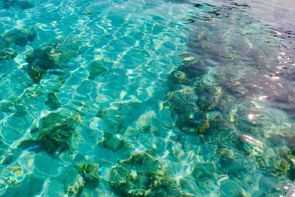 Balicasag Island