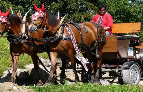 亞歷山大託蒂布里克酒店