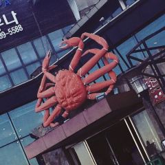 THE KINGDOM OF CRAB User Photo