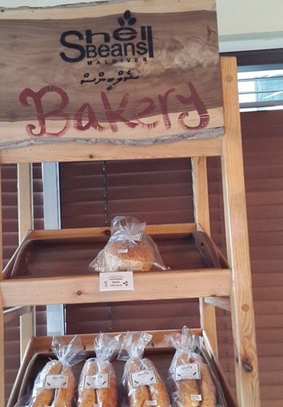 Shell Beans(Jazeera)