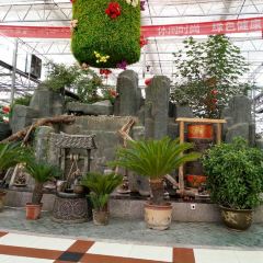 白云生态园 User Photo