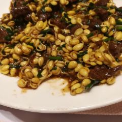 New Shipu Restaurant User Photo