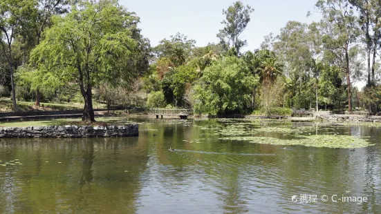 Mount Coot-tha Reserve