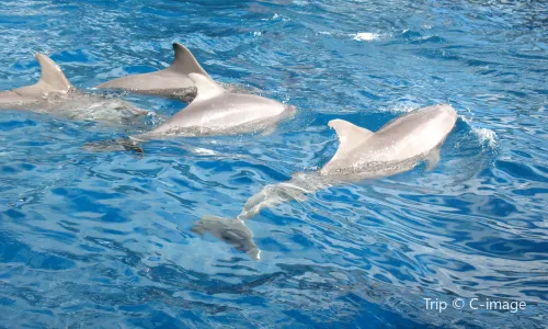 Miami Seaquarium
