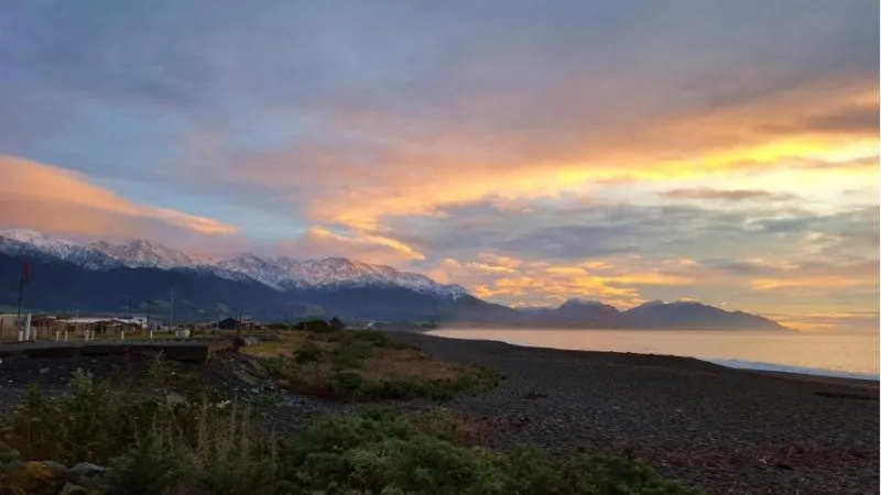 2_Encounter Kaikoura (Dolphin Encounter)