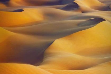 华莱士炸鸡汉堡(福鼎华福店)